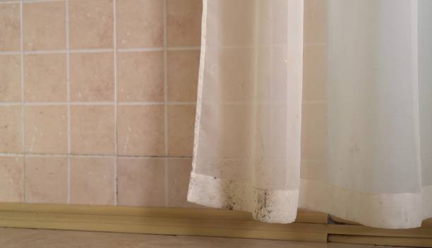 Best Water Damage & Mold Remediation  in Lugoff, SC