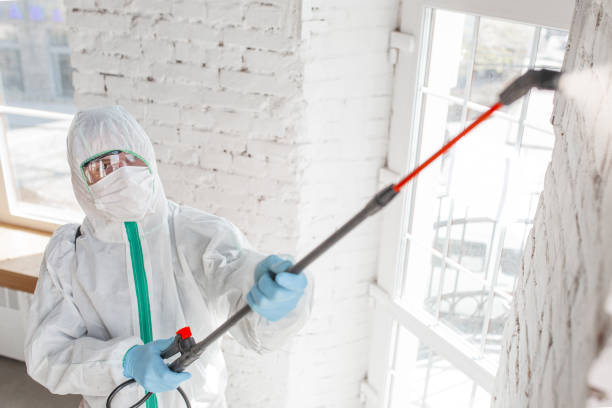 Best Mold Removal for HVAC Installations  in Lugoff, SC