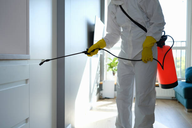 Professional Mold Removal in Lugoff, SC