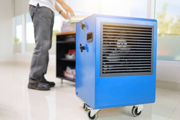Best Mold Odor Removal Services  in Lugoff, SC