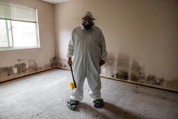 Best Industrial Mold Remediation  in Lugoff, SC