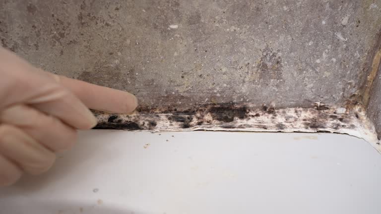 Best Post-Remediation Verification Testing  in Lugoff, SC
