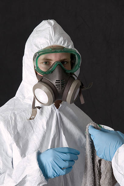 Best Attic Mold Removal  in Lugoff, SC
